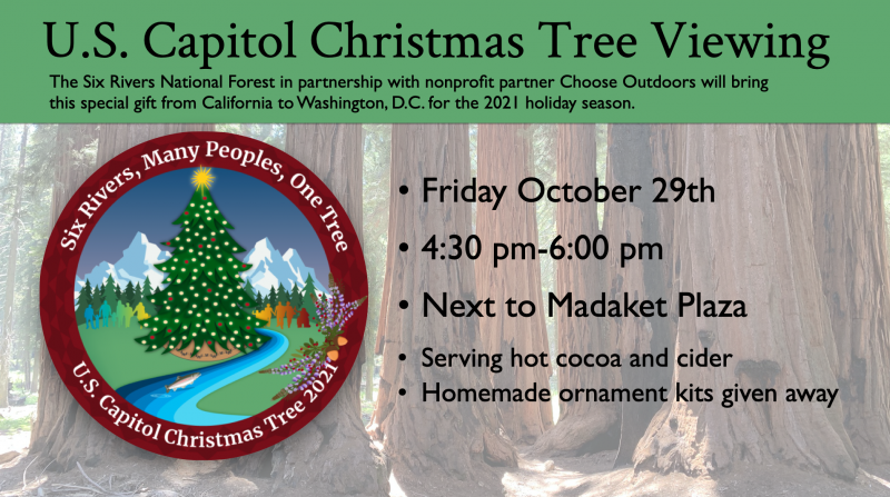 U.S. Capitol Christmas Tree Viewing